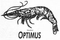 MAZATLAN OPTIMUS