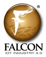FALCON IOT INDUSTRY 4.0