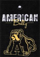 AMERICAN BULLY