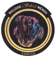 BULLDOG SELECT MEXICO EXOTICS