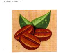 ROCIO DE LA MAÑANA