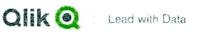 QLIK LEAD WITH DATA