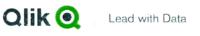 QLIK LEAD WITH DATA