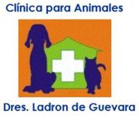 CLINICA PARA ANIMALES DRES LADRON DE GUEVARA