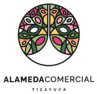 ALAMEDA COMERCIAL TIZAYUCA