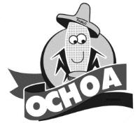 PABLO OCHOA BRISEÑO