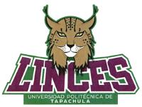 LINCES UNIVERSIDAD POLITÉCNICA DE TAPACHULA