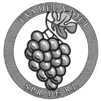 UVA DEL YAQUI S.P.R. DE R.L.