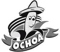PABLO OCHOA BRISEÑO