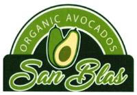 ORGANIC AVOCADOS SAN BLAS