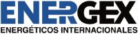 ENERGEX ENERGÉTICOS INTERNACIONALES
