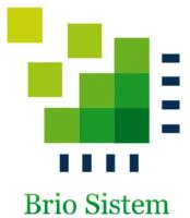 BRIO SISTEM