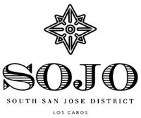 SOJO SOUTH SAN JOSE DISTRICT
