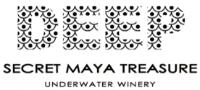 DEEP SECRET MAYA TREASURE