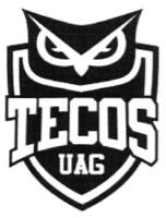 TECOS UAG