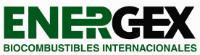 ENERGEX BIOCOMBUSTIBLES INTERNACIONALES