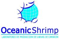 OCEANIC SHRIMP