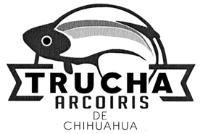 TRUCHA ARCOIRIS DE CHIHUAHUA