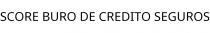 SCORE BURO DE CREDITO SEGUROS