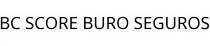 BC SCORE BURO SEGUROS