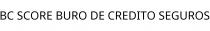 BC SCORE BURO DE CREDITO SEGUROS