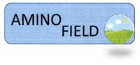 AMINO FIELD