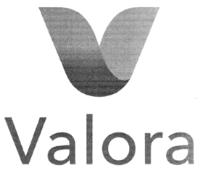 VNC VALORA