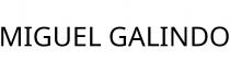 MIGUEL GALINDO