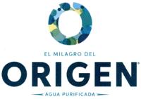 EL MILAGRO DEL ORIGEN