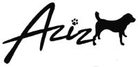 AZIZ