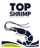 TOP SHRIMP