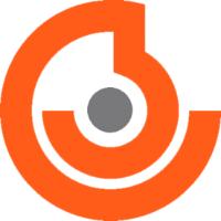DIGITAL IGNITION
