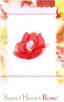 SWEETHEART ROSE