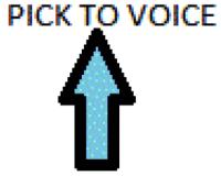 PICK TO VOICE