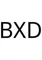 BXD