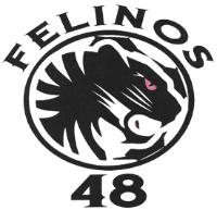 FELINOS 48
