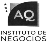 AQ INSTITUTO DE NEGOCIOS