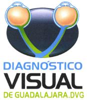 DIAGNOSTICO VISUAL DE GUADALAJARA.DVG