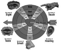 BODY SOUL SPIRIT THE SENSE OF TOUCH HAND AFFECTION WORSHIP THE SENSE OF HEARING EAR MEMORY REVERENCE THE SENSE OF SMELL NOSE CONSCIENCE HOPE THE SENSE OF TASTE MOUTH REASON PRAYER THE SENSE OF SIGHT EYE IMAGINATION FAITH THE HUMAN WILL