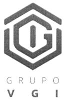 VGI