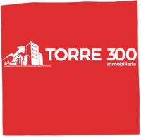 TORRE 300