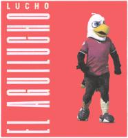 LUCHO EL AGUILUCHO