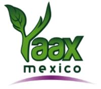 YAAX MEXICO