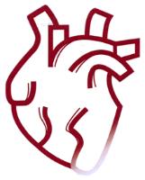 UPDATE IN CARDIOLOGY