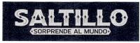 SALTILLO SORPENDE AL MUNDO
