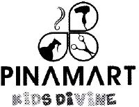 PINAMART KIDS DIVINE