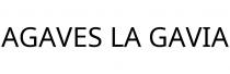 AGAVES LA GAVIA