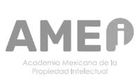 AMEPI ACADEMIA MEXICANA DE LA PROPIEDAD INTELECTUAL