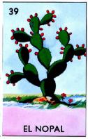 EL NOPAL 39