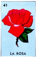 LA ROSA 41